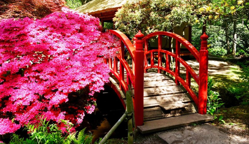 Japanse Tuin openstelling